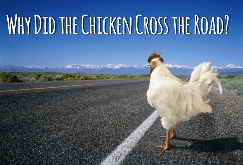 Descubre el Misterio de la Vía del Pollo en España, ¿Qué es el Juego?, chicken road game Descubre el Misterio de la Vía del Pollo en España, ¿Qué es el Juego?, chicken road game